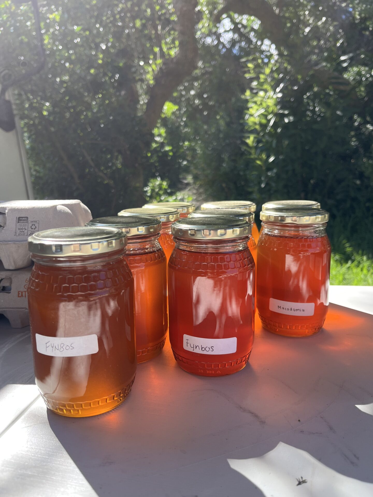 This Fynbos Honey is sourced from farmers on the western edge of the Cape Floristic Region. Bees play a vital role in pollinating many fynbos species, especially those in the Erica genus. The honey itself is rich and floral, with a complex flavour layered with hints of caramel and herbs, and a deep amber colour. Celebrated as one of the country’s most popular honeys, it’s a versatile culinary ingredient and a naturally delicious sweetener.